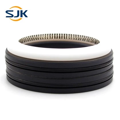 PTFE Elgiloy Lip Seal