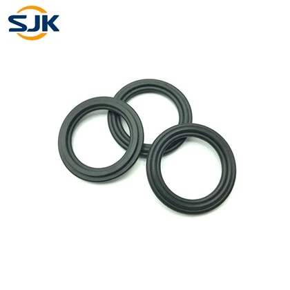 Gasket Pengapit Viton Tri